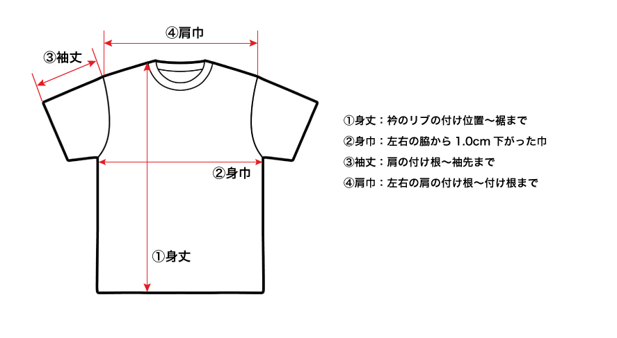 木梨サイクル Tシャツのサイズ比較
